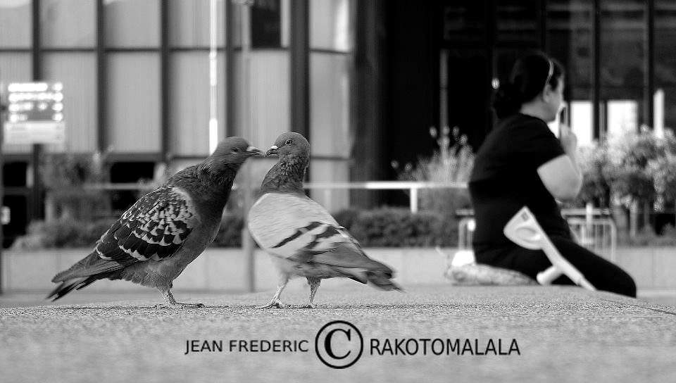 41846253 503576933439257 641443452873080832 n